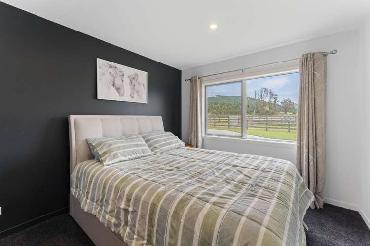 341 White Road Broadlands Forest_10