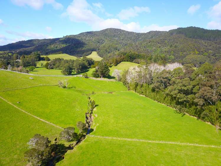 Larmer Road Kaitaia_8