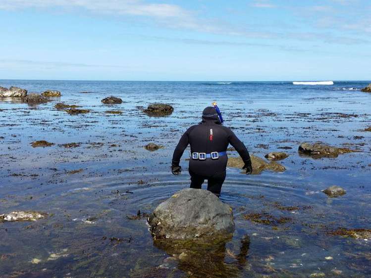 4A Te Miha Crescent Cape Palliser_17