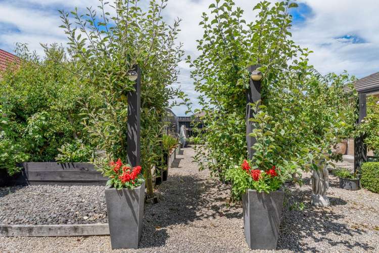 59 Armstrong Avenue Carterton_24