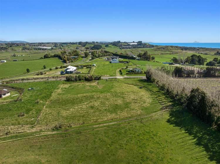 61 Tirohanga Road Opotiki_5