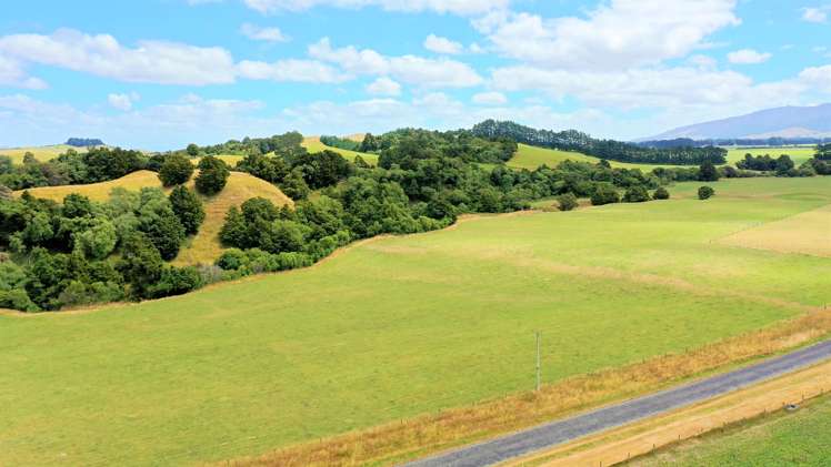 Kiritaki Road Dannevirke_6