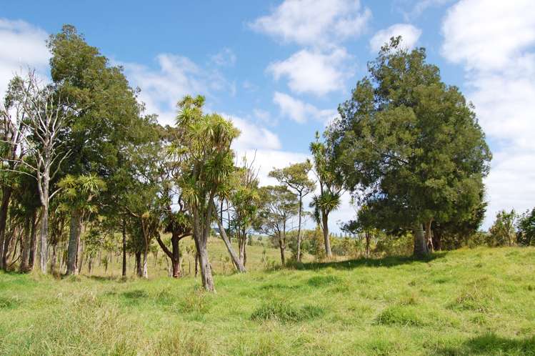 135 Phillips Road Kaiwaka_9