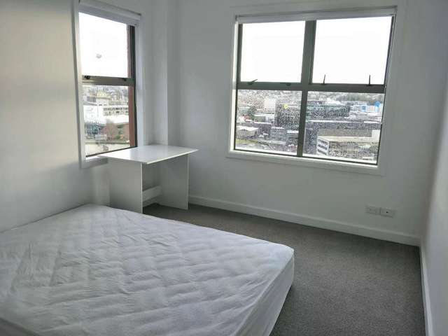 6B/125A Hobson Street Auckland Central_4