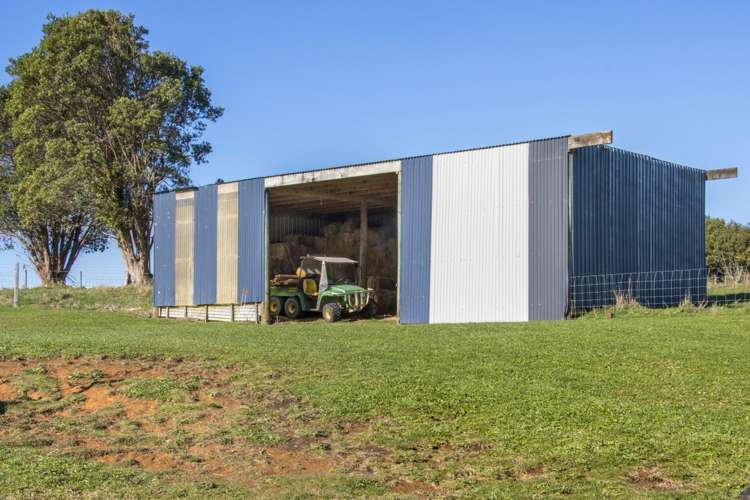 994 Work Road Whakamarama_19