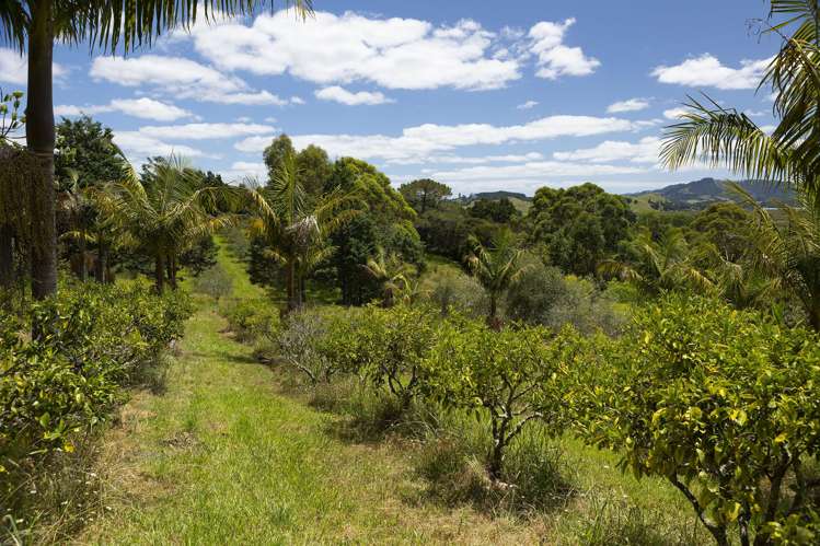 66B Rataroa Road Kaeo_21