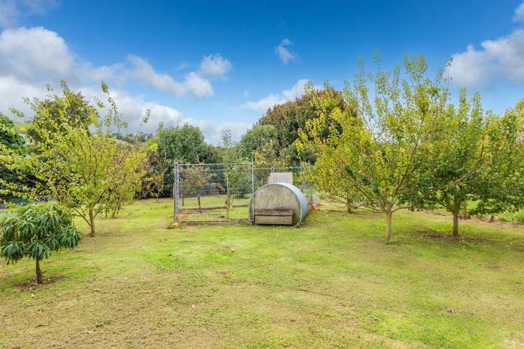 920a Bond Road Te Awamutu_13