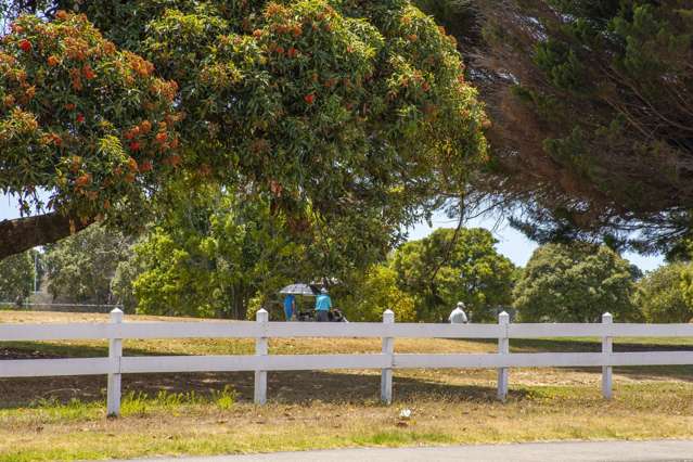 53 Matapihi Road Mount Maunganui_2