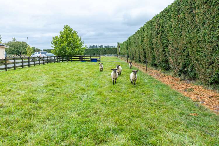 54 Longbeach Road Willowby_21