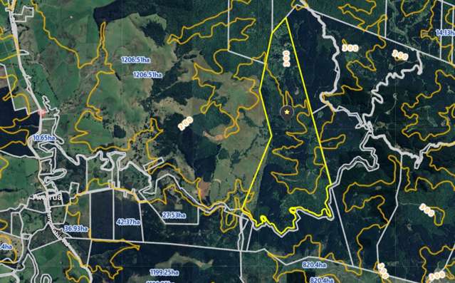 Address withheld Awarua_1