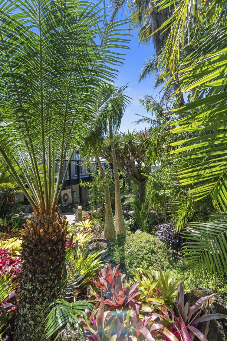 25 Mcdowell Crescent Hillcrest_34