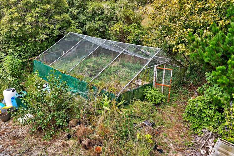 196 Bull Road Waiotira_34