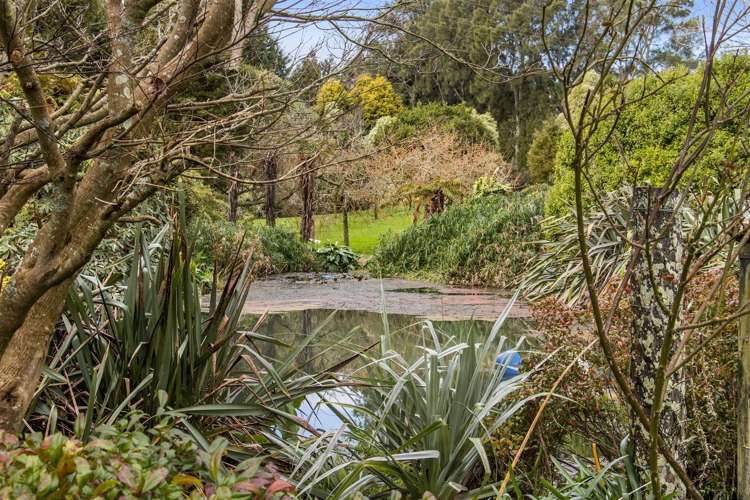 112 Waihi Beach Road Waihi_20