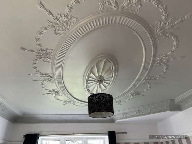 6 Huia Street 11185_3