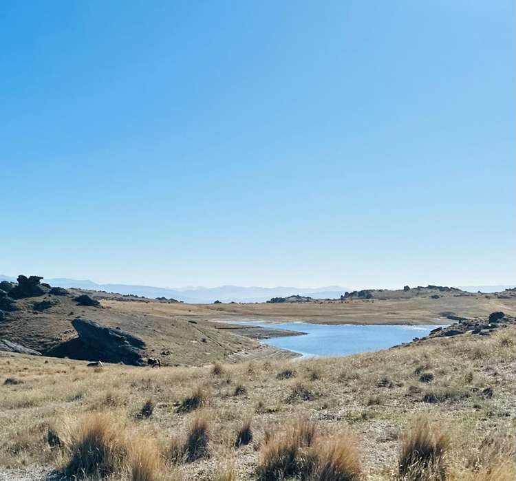 1109 Little Valley Road Alexandra_8