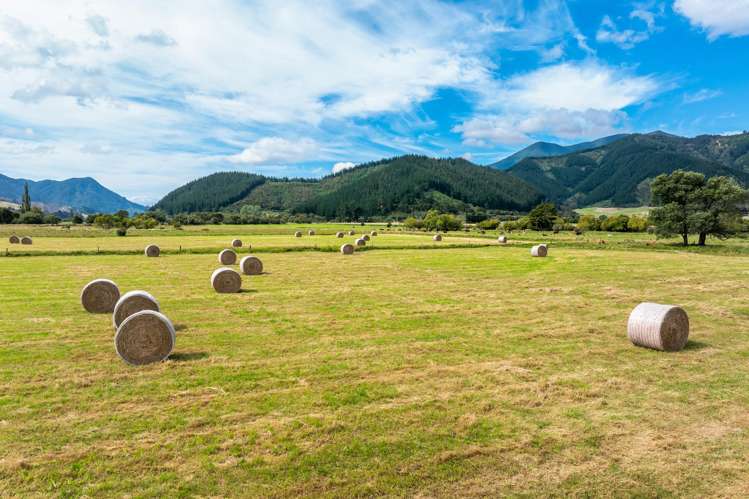 State Highway 1 Koromiko_23