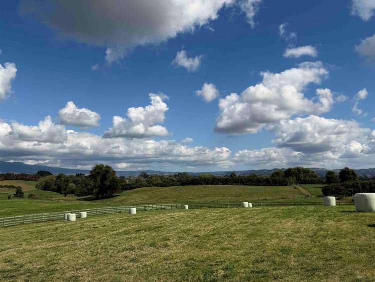 168 Gillard Road Ohaupo_3