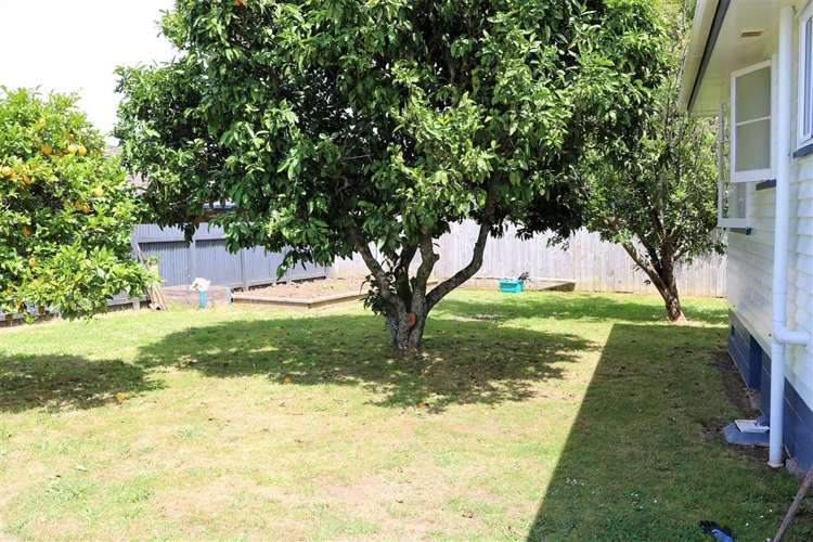 8 Walmsley Crescent Paeroa_18