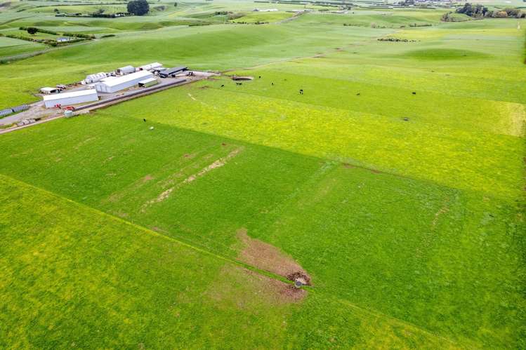 226 Ngarongo Road Normanby_22