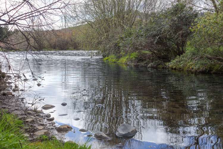 205 Te Rena Road Kakahi_24