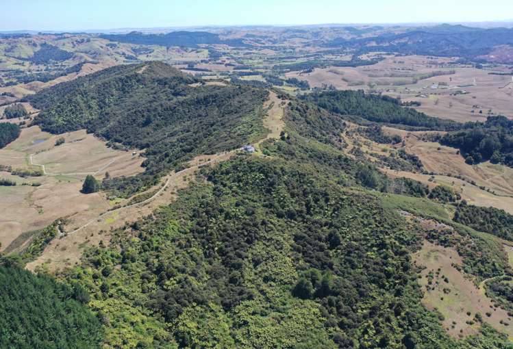 96 Dennis Road Kaipara Flats_11