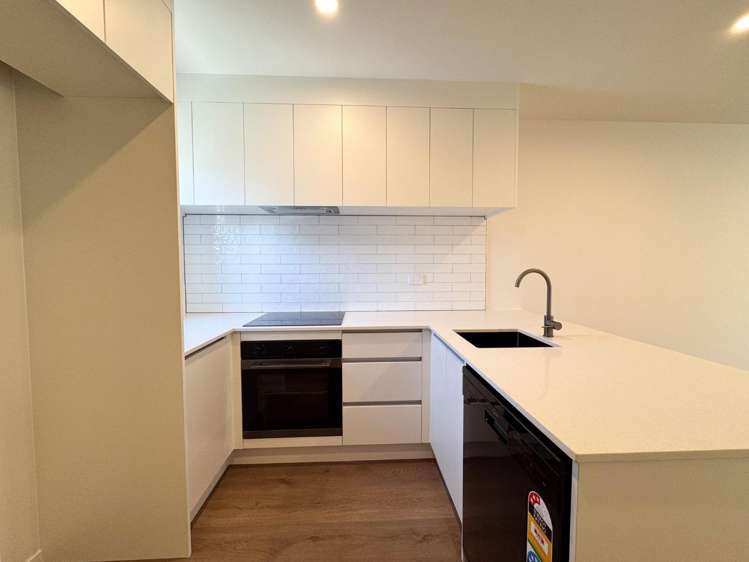 17e Gerbic Place 10044_2