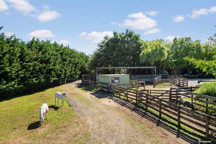 558c Waiau Pa Road Waiau Pa_3