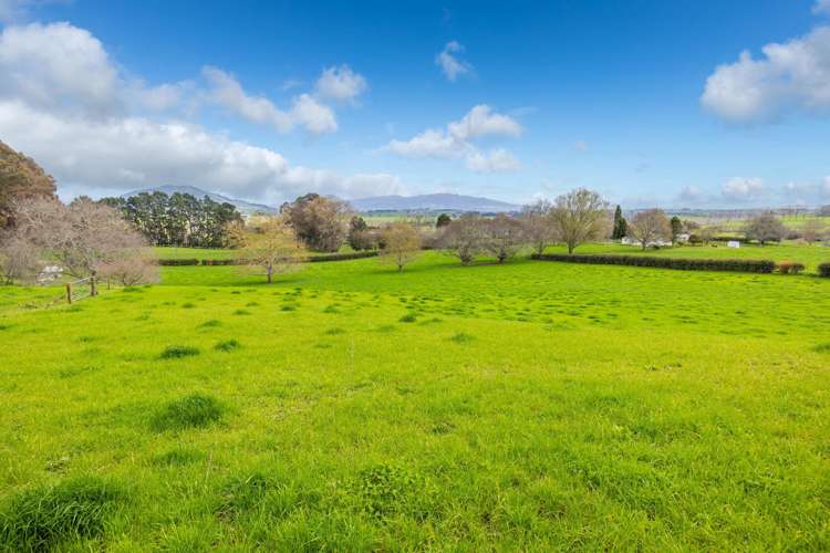 275 St Leger Rd Kihikihi_16