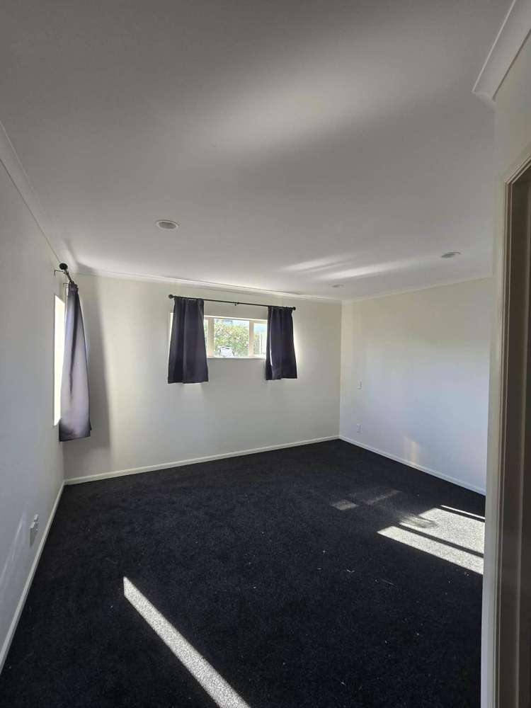 67 Skelligs Drive Flat Bush_8