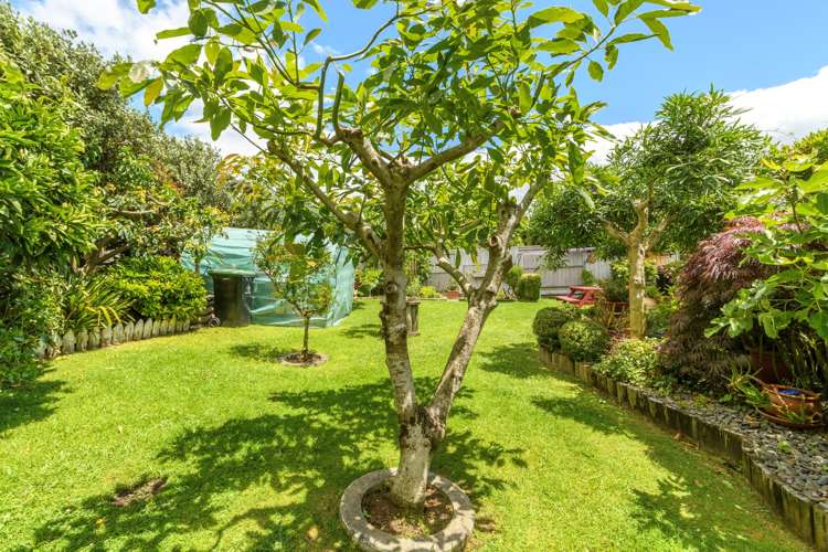 5/378 Devonport Road Tauranga South_14