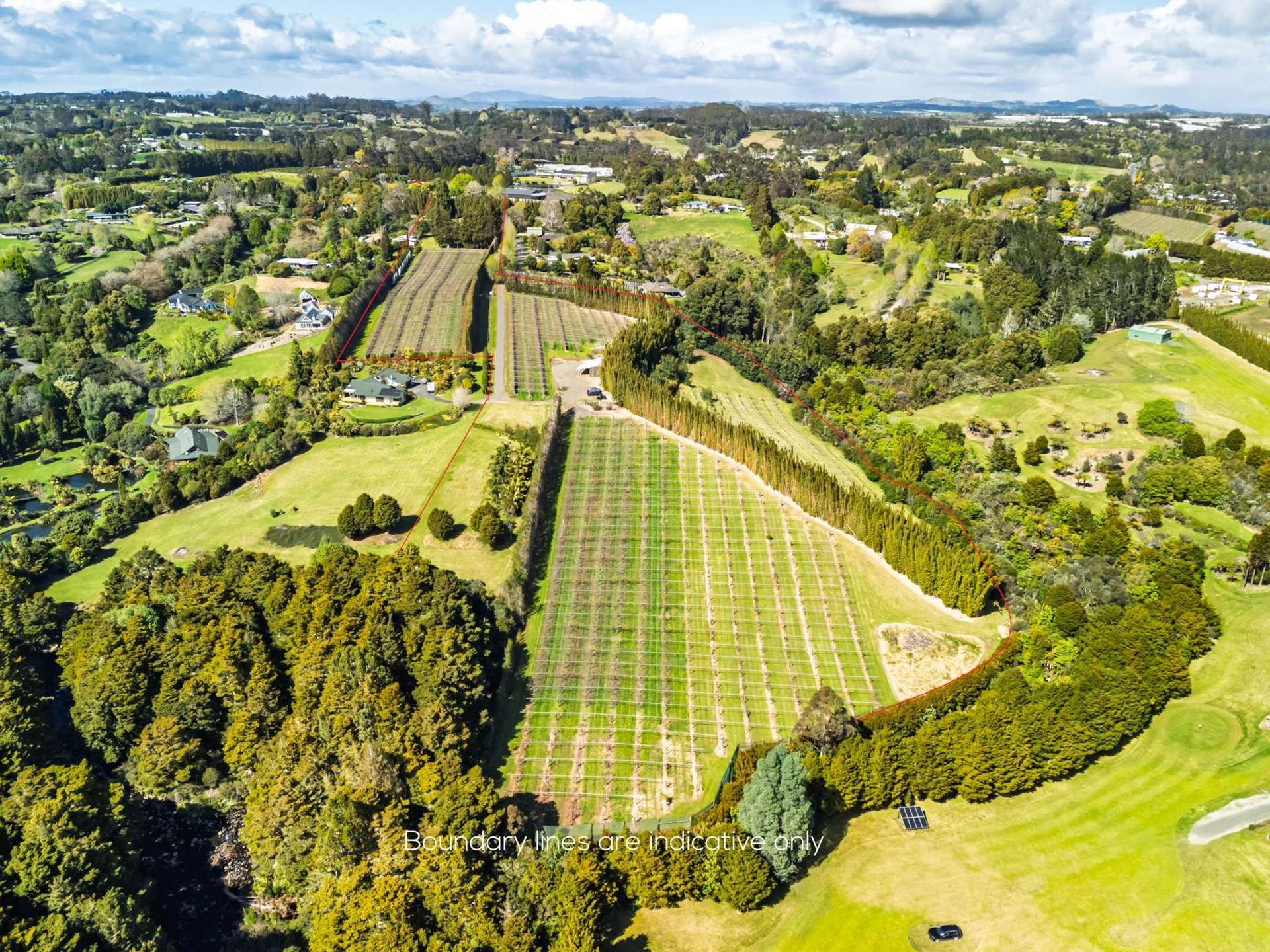 43e Blue Gum Lane Kerikeri_0
