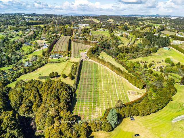 6.99ha Kiwifruit Orchard + Development