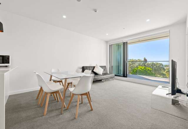 Near New Apartment with City and Harbour View