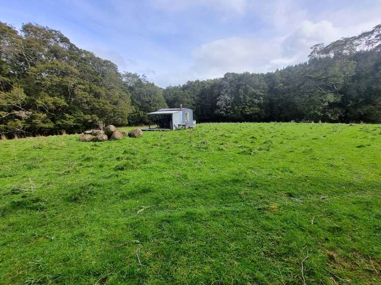 Tahakopa Valley Road Catlins Surrounds_8