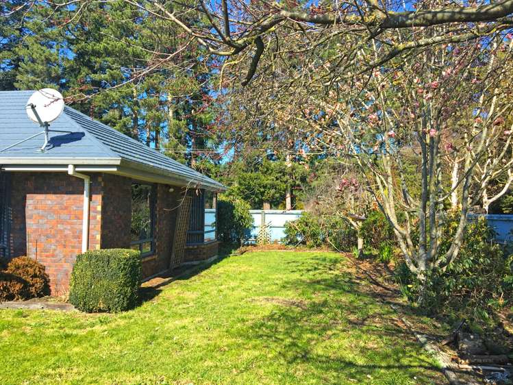 2 Homebush Road Glentunnel_13