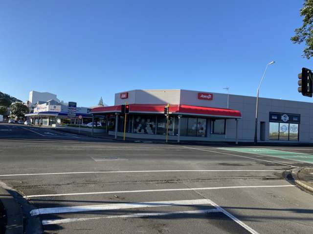 8 Egmont Street New Plymouth_1