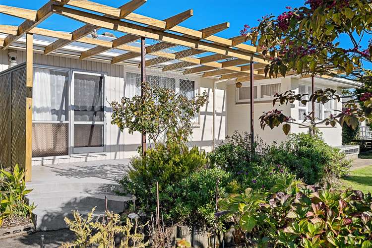 19 Oudenarde Street Renwick_16