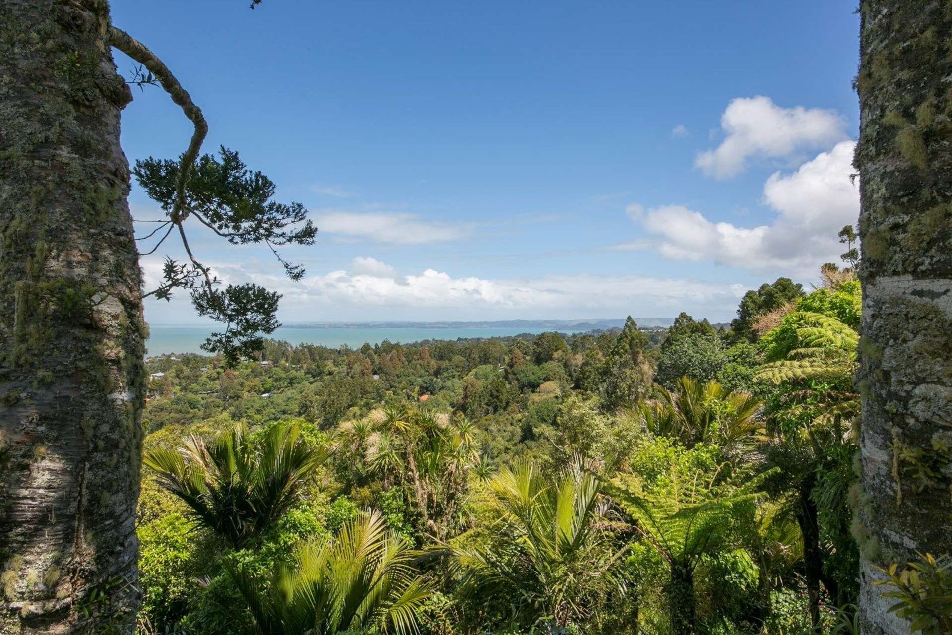 80 Park Road Titirangi_0