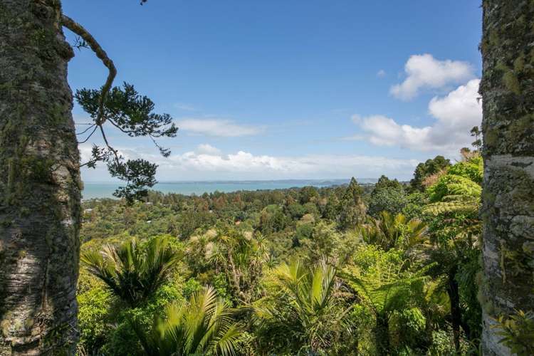 80 Park Road Titirangi_0