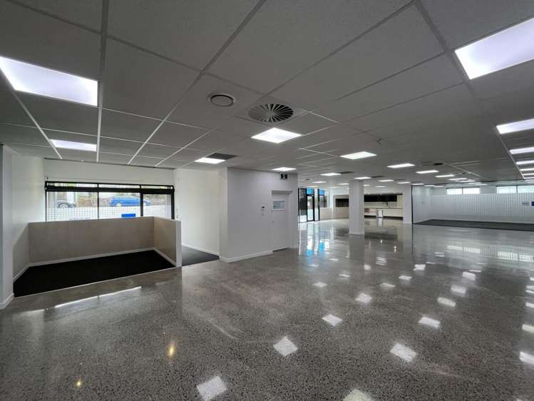 4 Murdoch Road Grey Lynn_13