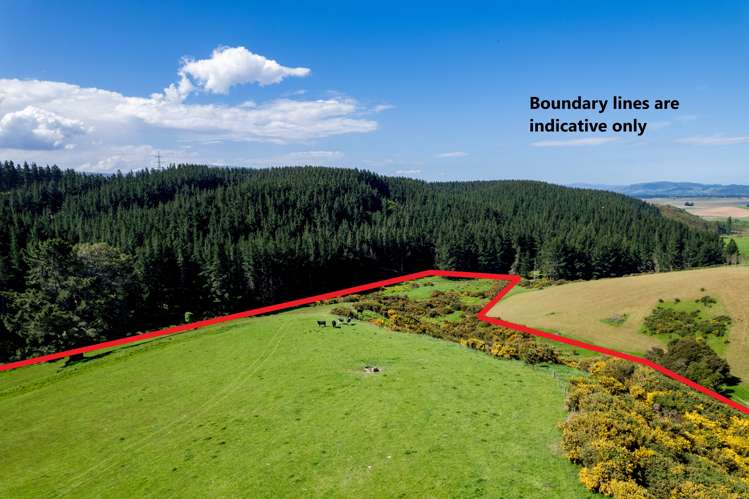 Waihola Hill Road Milton_9