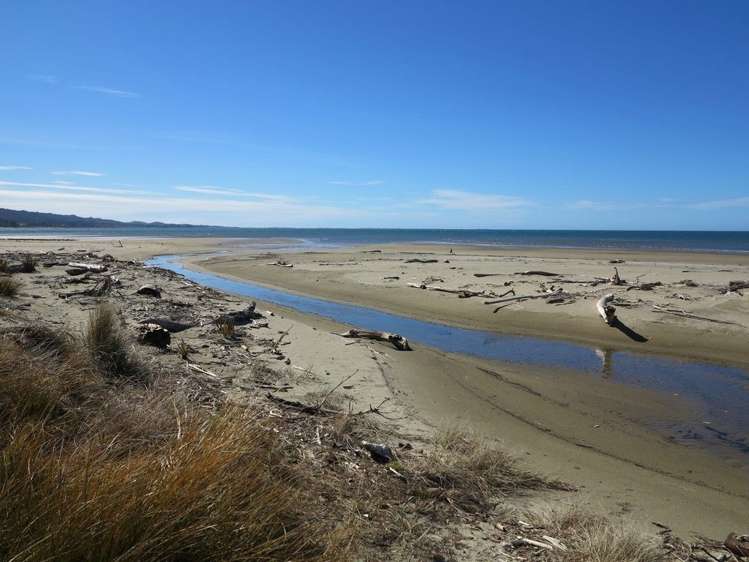 1174 Collingwood-Puponga Kahurangi National Park_16