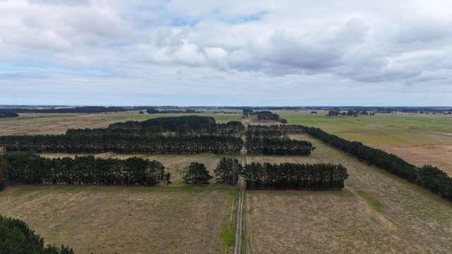 265 Paranui Road Foxton_2