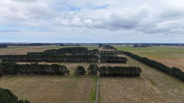 265 Paranui Road Foxton_2