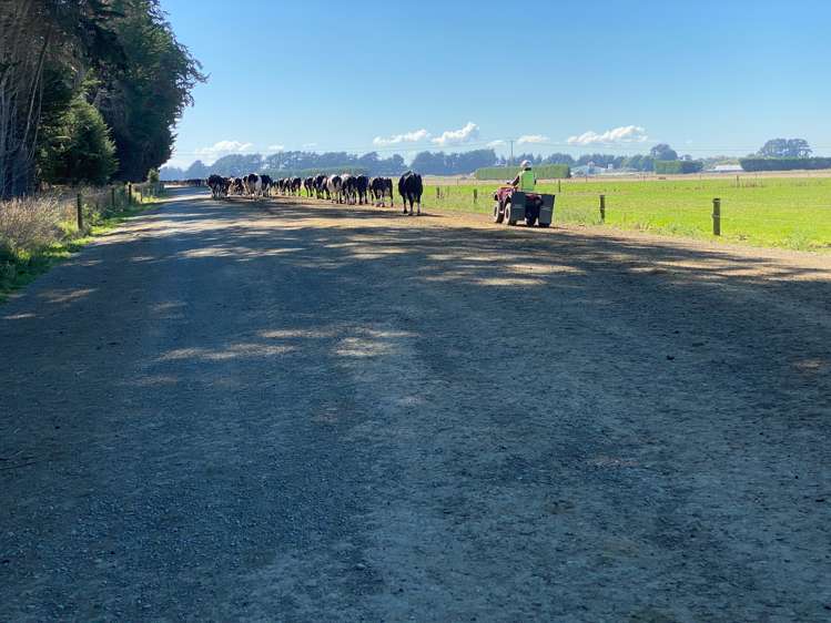 179 Dunlop Street Wallacetown_9