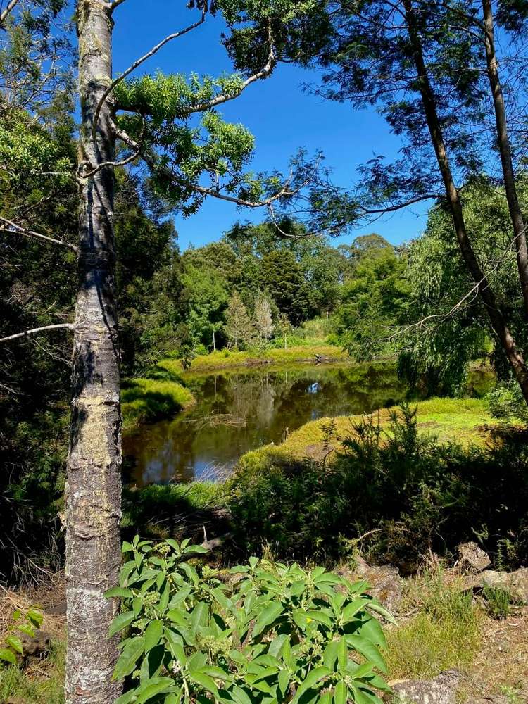 Lot 2/44 Hauparua Lane Kerikeri_20