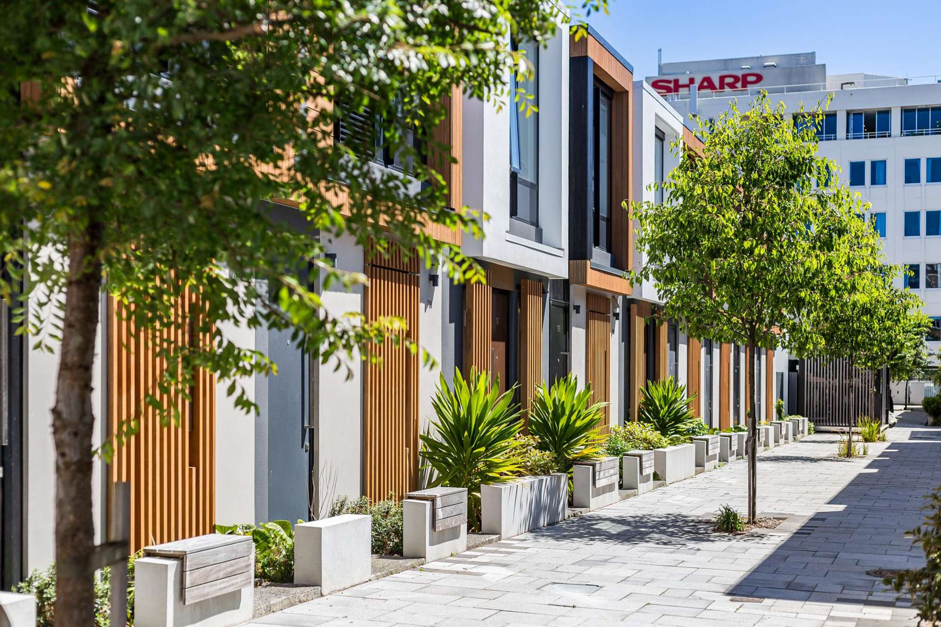 72/11D Jessie Street Te Aro_0