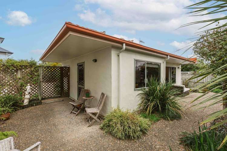 9A Chambers Street Havelock North_12
