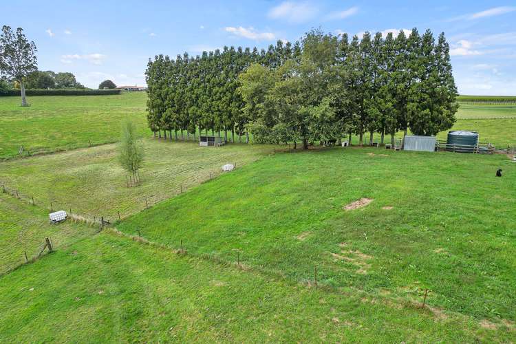 320 Bell Road Pirongia_28