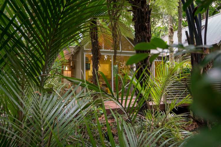 23b Kakariki Grove Waikanae_11